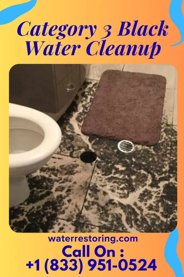 Category 3 Black Water Cleanup in Choctaw Lake, OH