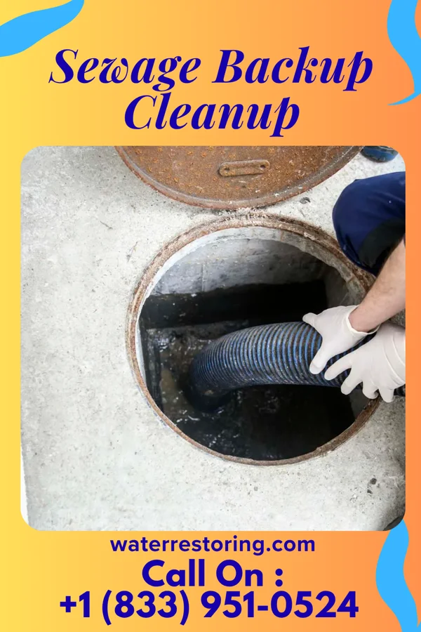 Sewage Backup Cleanup in Choctaw Lake, OH