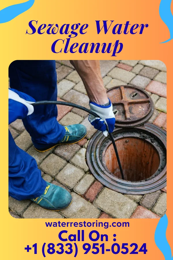 Sewage Water Cleanup in Choctaw Lake, OH