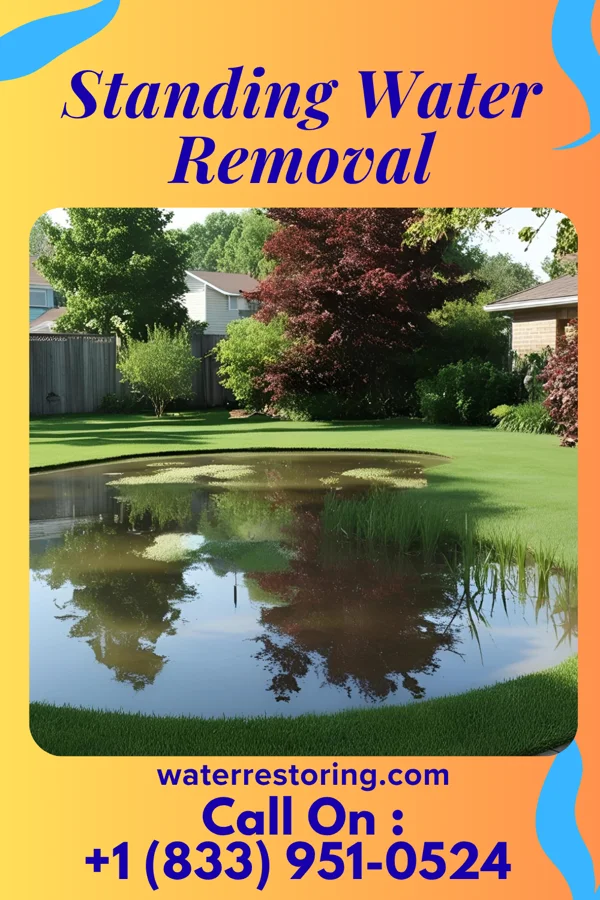 Standing Water Removal in Choctaw Lake, OH